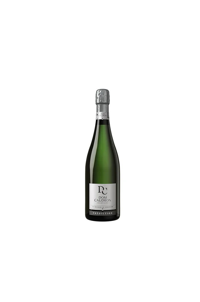 Dom Caudron Prédiction · Brut
